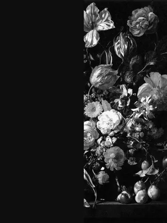 OnlyFans cuenta nelly12398 header 2