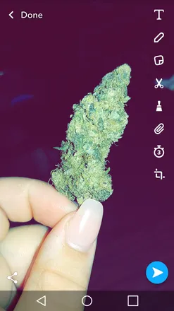 OnlyFans cuenta stonedgrace header 2