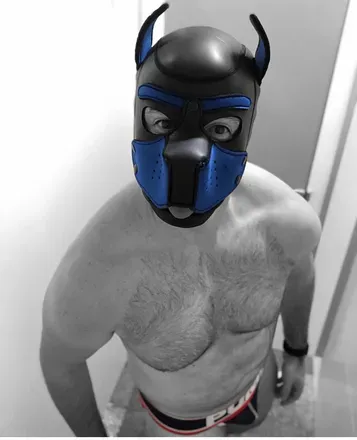 OnlyFans cuenta pupmax_kennel avatar 1