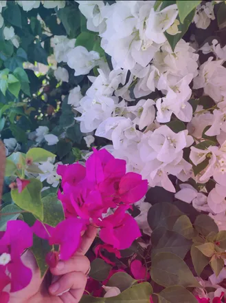 OnlyFans account  feetishx_6 header 2
