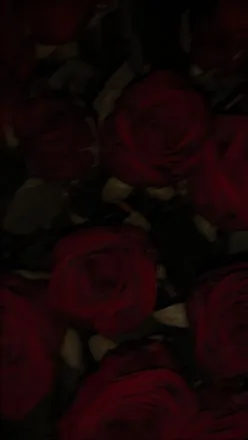 OnlyFans account  somanja header 2