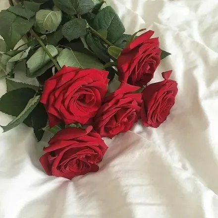 OnlyFans cuenta annadoorx header 2