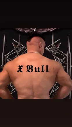 OnlyFans cuenta rayxbull header 2