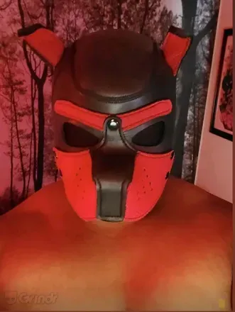 OnlyFans cuenta brolic_chub avatar 1