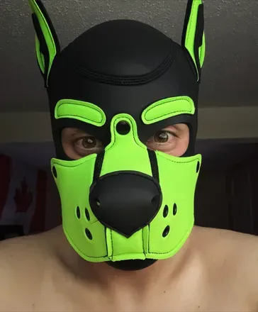 OnlyFans account  argus_pup avatar 1