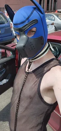 OnlyFans account  mcpuptop avatar 1