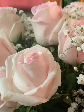 OnlyFans cuenta candyxxxtoes header 2