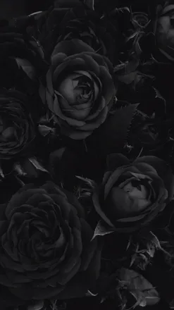 OnlyFans cuenta noiroses header 2