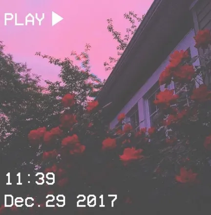 OnlyFans cuenta isbabycay header 2