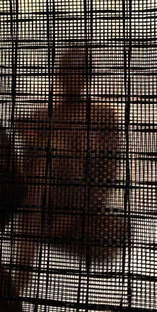 OnlyFans account  secretgardenofme header 2