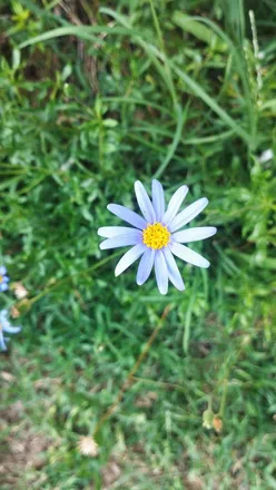 OnlyFans cuenta flowerspower69 header 2