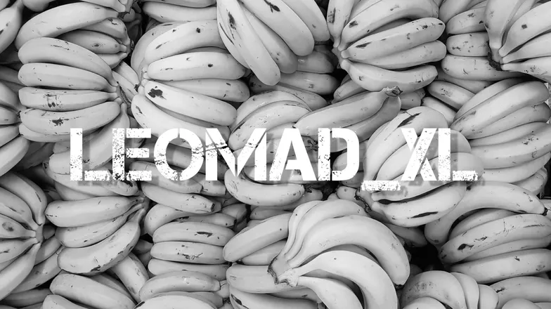 OnlyFans cuenta leomad_xl header 2