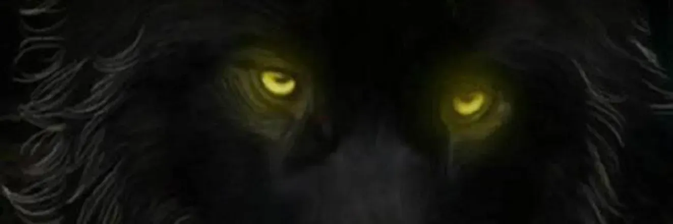 OnlyFans cuenta darkwolf92683 header 2