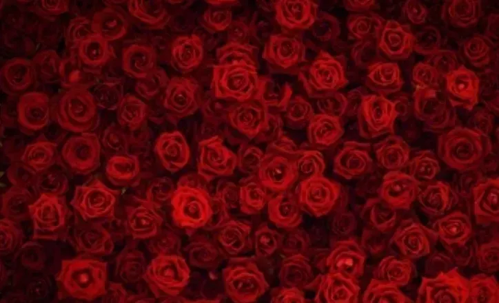 OnlyFans cuenta blackrusset header 2