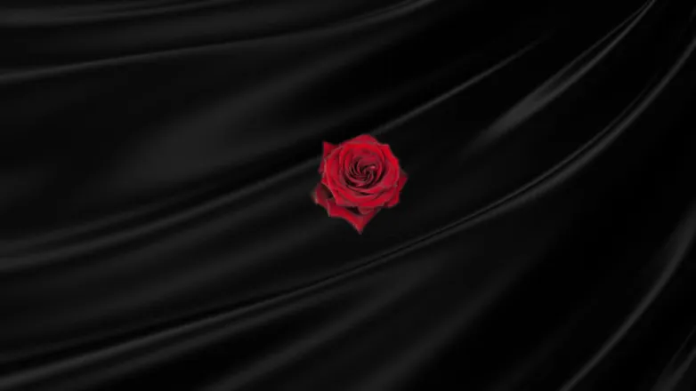 OnlyFans cuenta emmabensonlove header 2