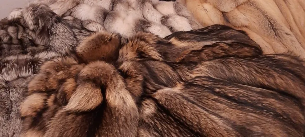 OnlyFans cuenta sirhenryfox header 2