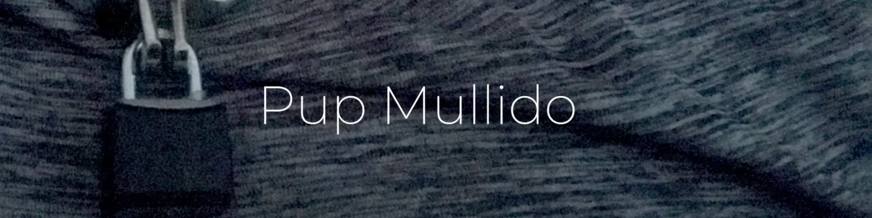 OnlyFans cuenta chipperwood header 2