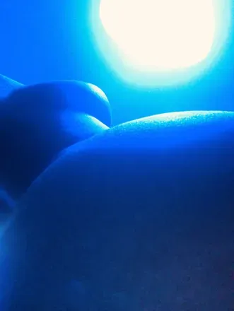 OnlyFans cuenta blu_hearts avatar 1
