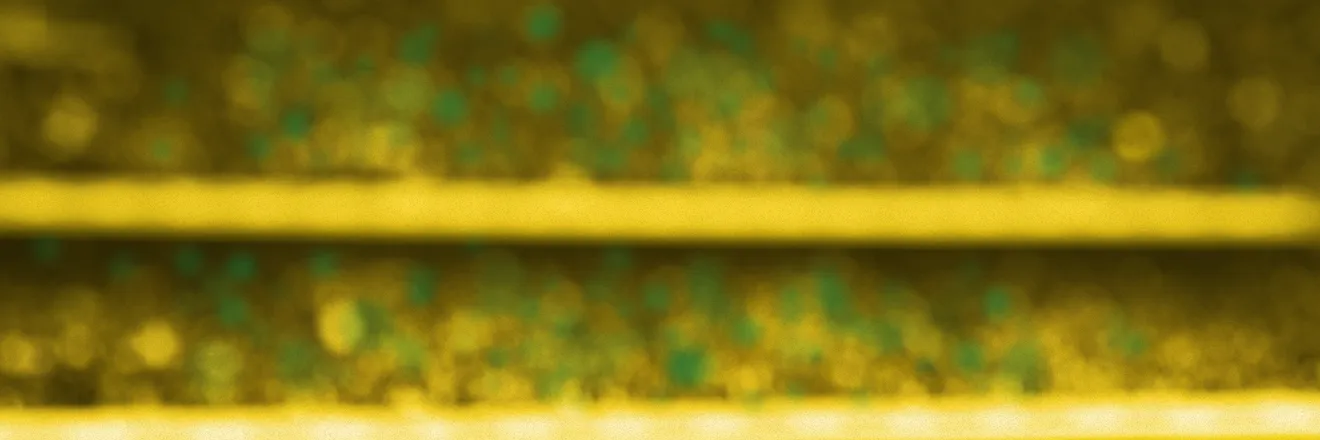 OnlyFans cuenta miguelsanchez91 header 2