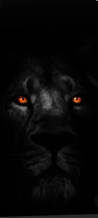 OnlyFans cuenta darklion7666 header 2