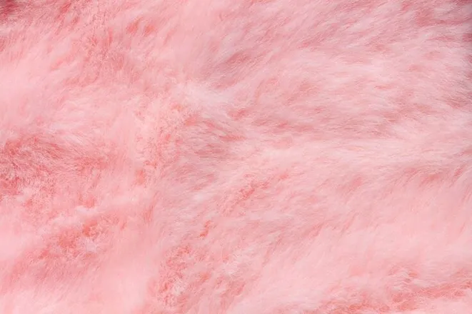 OnlyFans account  onlysaarahh header 2