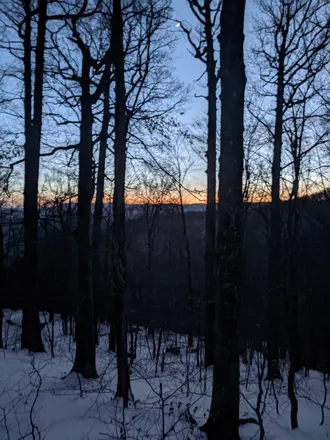 OnlyFans account  best.of.nature header 2