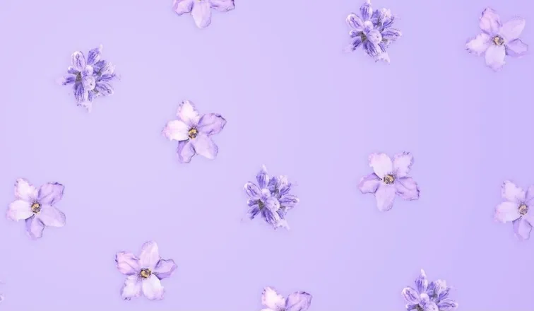 OnlyFans cuenta lavendarbubbletea header 2