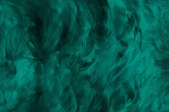 OnlyFans cuenta nephritegoddess header 2