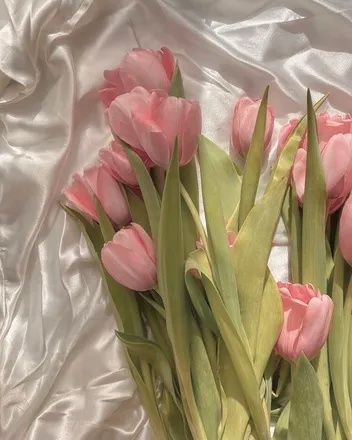 OnlyFans cuenta emilijxa header 1