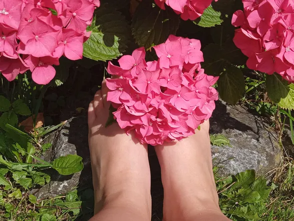 OnlyFans cuenta nightlynova header 2
