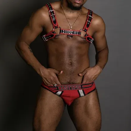 OnlyFans account  nakedbaconxxx avatar 1