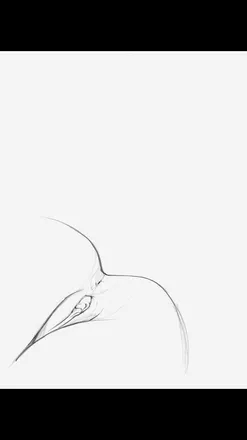 OnlyFans cuenta czsm7 header 2