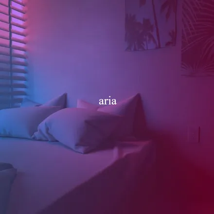 OnlyFans cuenta aria_violetx header 2