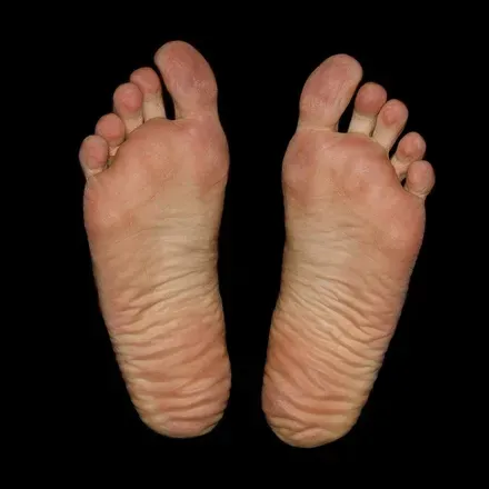 OnlyFans cuenta feetfetishforya avatar 1