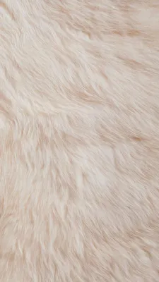 OnlyFans cuenta mel988 header 2