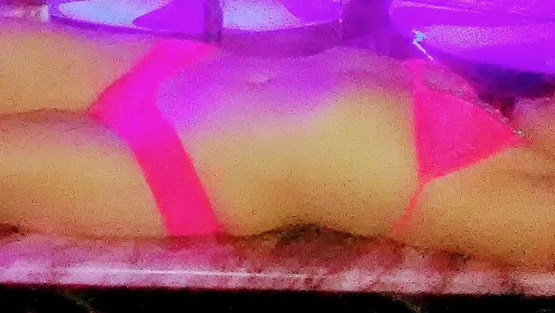 OnlyFans account  morgan-elise0616 header 2