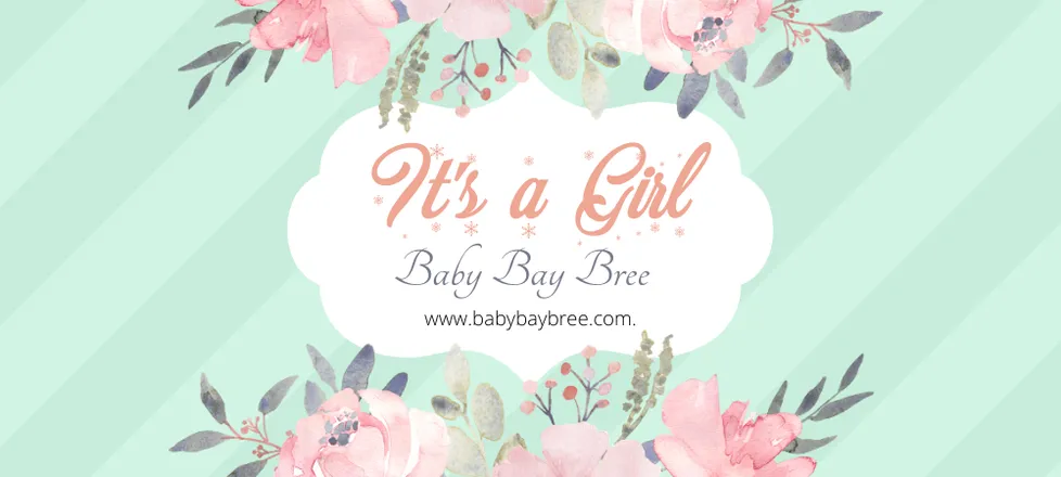OnlyFans cuenta babybaybree header 2