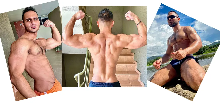 OnlyFans account  canelonfox header 2