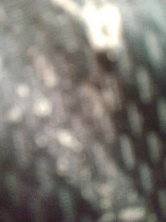 OnlyFans cuenta paradoxdemon header 2