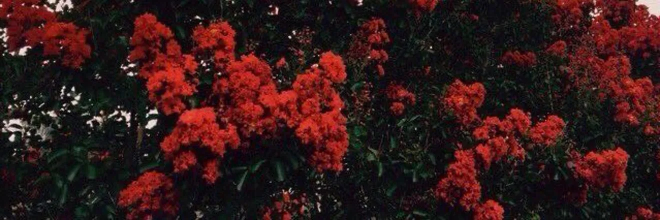 OnlyFans cuenta alittlebit_ header 2