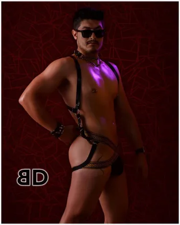OnlyFans cuenta digglercross header 2