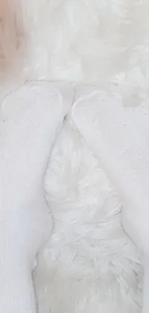OnlyFans account  justonlyfeets avatar 1