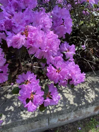 OnlyFans cuenta hhmommymilkers header 2