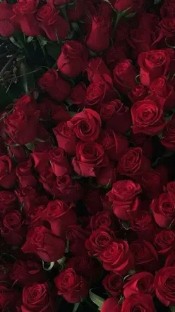 OnlyFans cuenta lamonjavoladora header 2