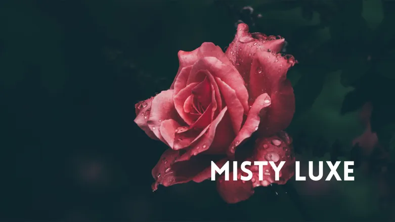 OnlyFans cuenta freemistyluxe header 2
