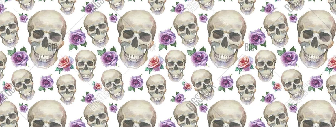 OnlyFans cuenta exotikfuneral20 header 2