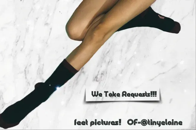 OnlyFans cuenta tinyelaine header 2