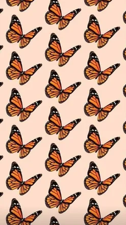 OnlyFans cuenta xblazee header 2