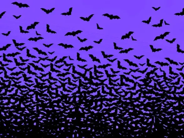 OnlyFans cuenta hotgothiccc header 2