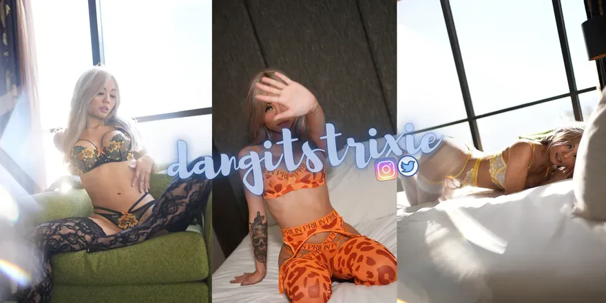 OnlyFans account  dangitstrixie header 2
